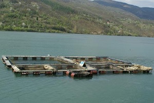 ribnjak_u_peruccu